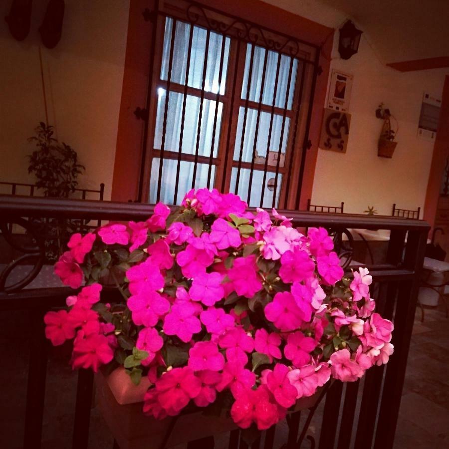 Casa De Aldea La Pescal 게스트하우스 외부 사진